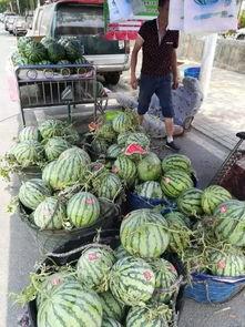 宿州吃瓜网红事件,网络舆论的风暴与反思