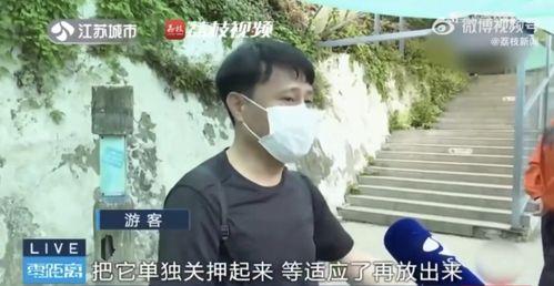 男朋友看网红吃瓜,男友眼中的娱乐盛宴