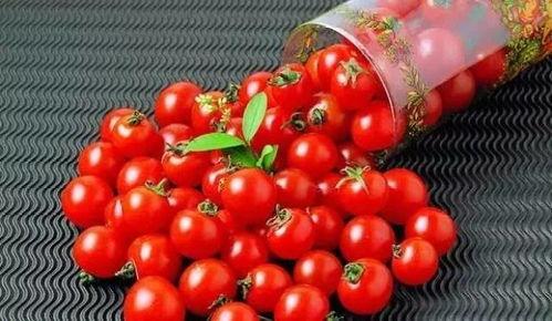 抖音网红泡椒番茄吃瓜