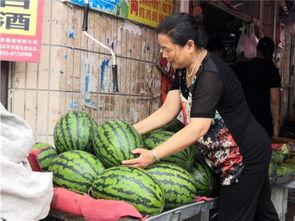 东北网红吃瓜群众视频大全,趣味横生的短视频盛宴